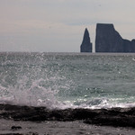DE13033002