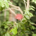 de06101099.jpg