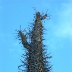 de04037592.jpg