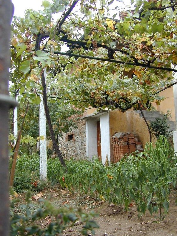 de00107500.jpg