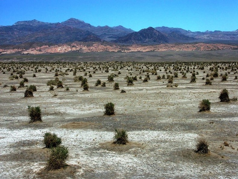 de04038825.jpg